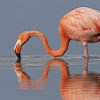 Mirror, mirror...