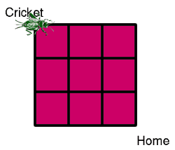 Jumping Cricket