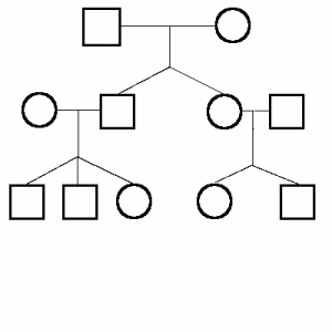 Family Tree