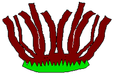 Cartoon image of a "Deca Tree" with 10 trunks.