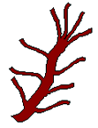 Cartoon image of a trunk with 10 branches.