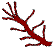 Cartoon image of a branch with 10 twigs.