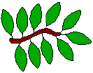 Cartoon image of a twig with 10 leaves.