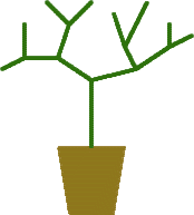 A plant with branches that split into two other branches.