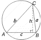 Cyclic Triangles