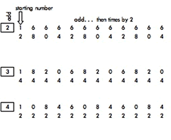 Mobile Numbers