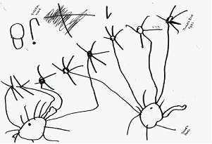 Children's mathematical graphics: understanding the key Concept